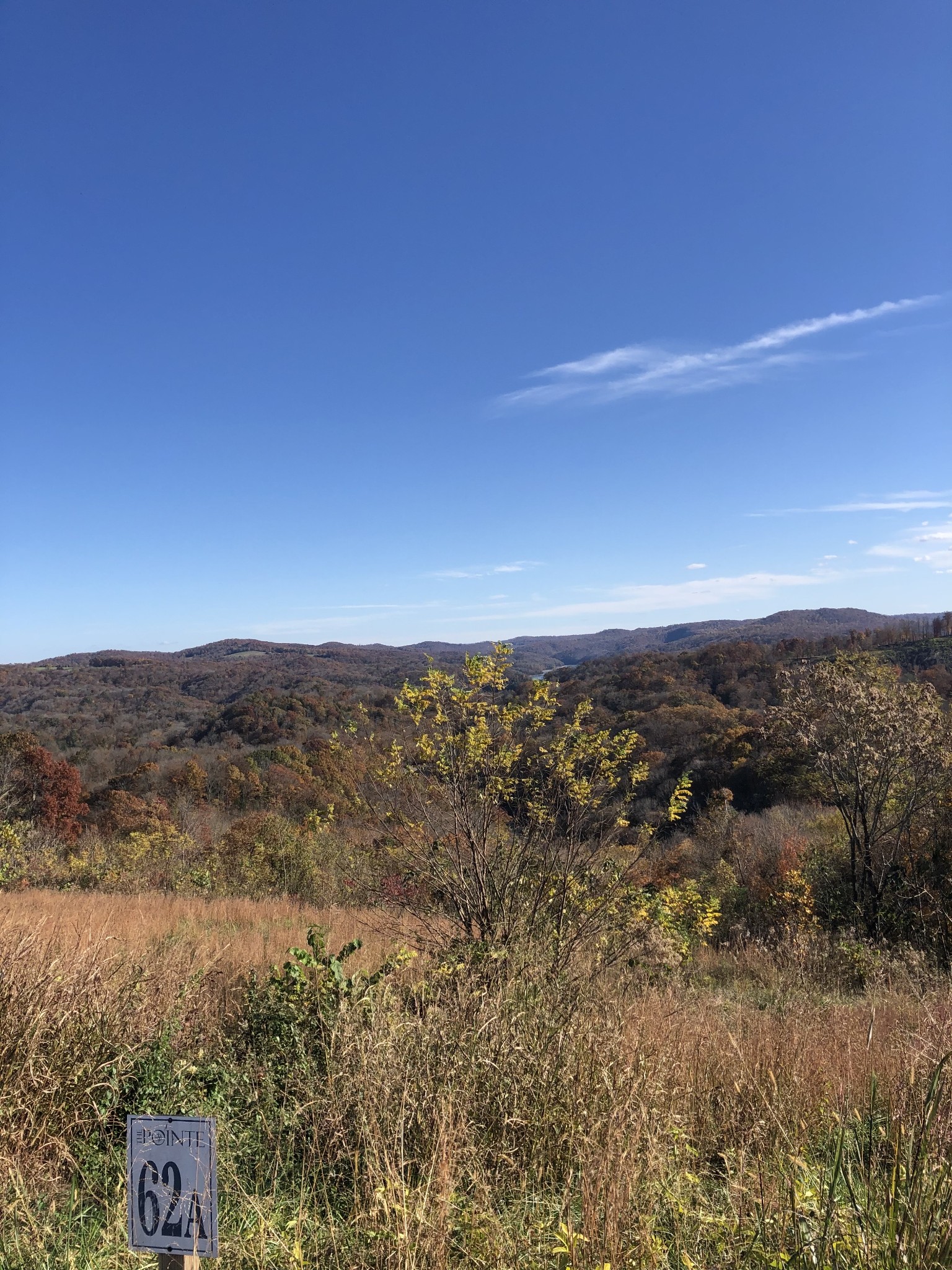 62 A Catfish Lane Celina, TN 38551 - Photo 3 of 6