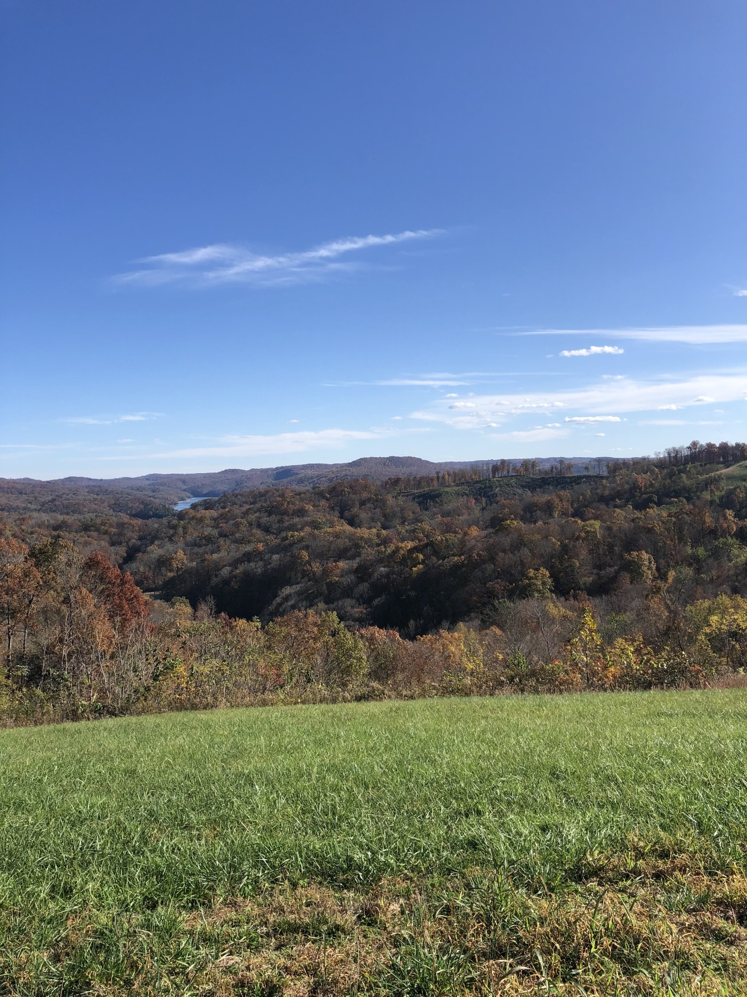 62 A Catfish Lane Celina, TN 38551 - Photo 6 of 6