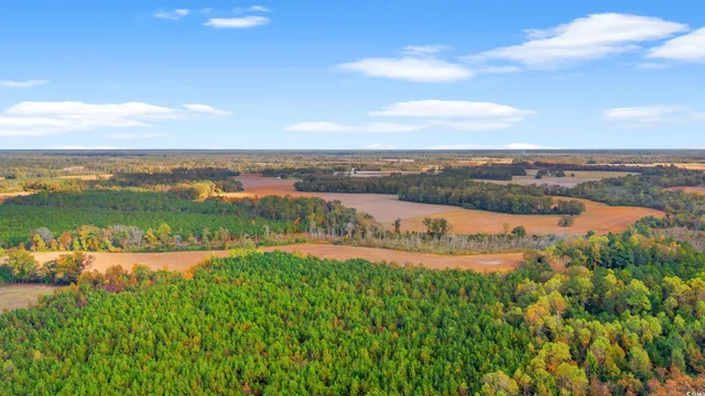 $1,325,000 | S-17-22 Arnette Road, Dillon, SC 29536