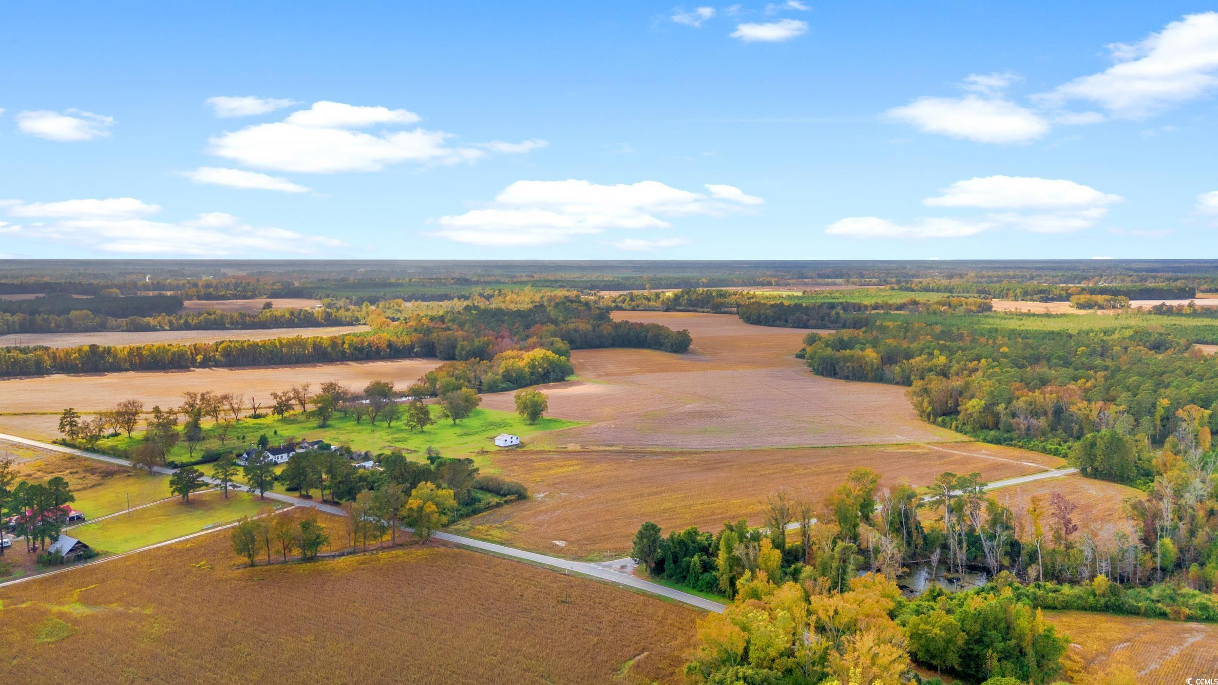 S-17-22 Arnette Road Dillon, SC 29536 - Photo 12 of 19