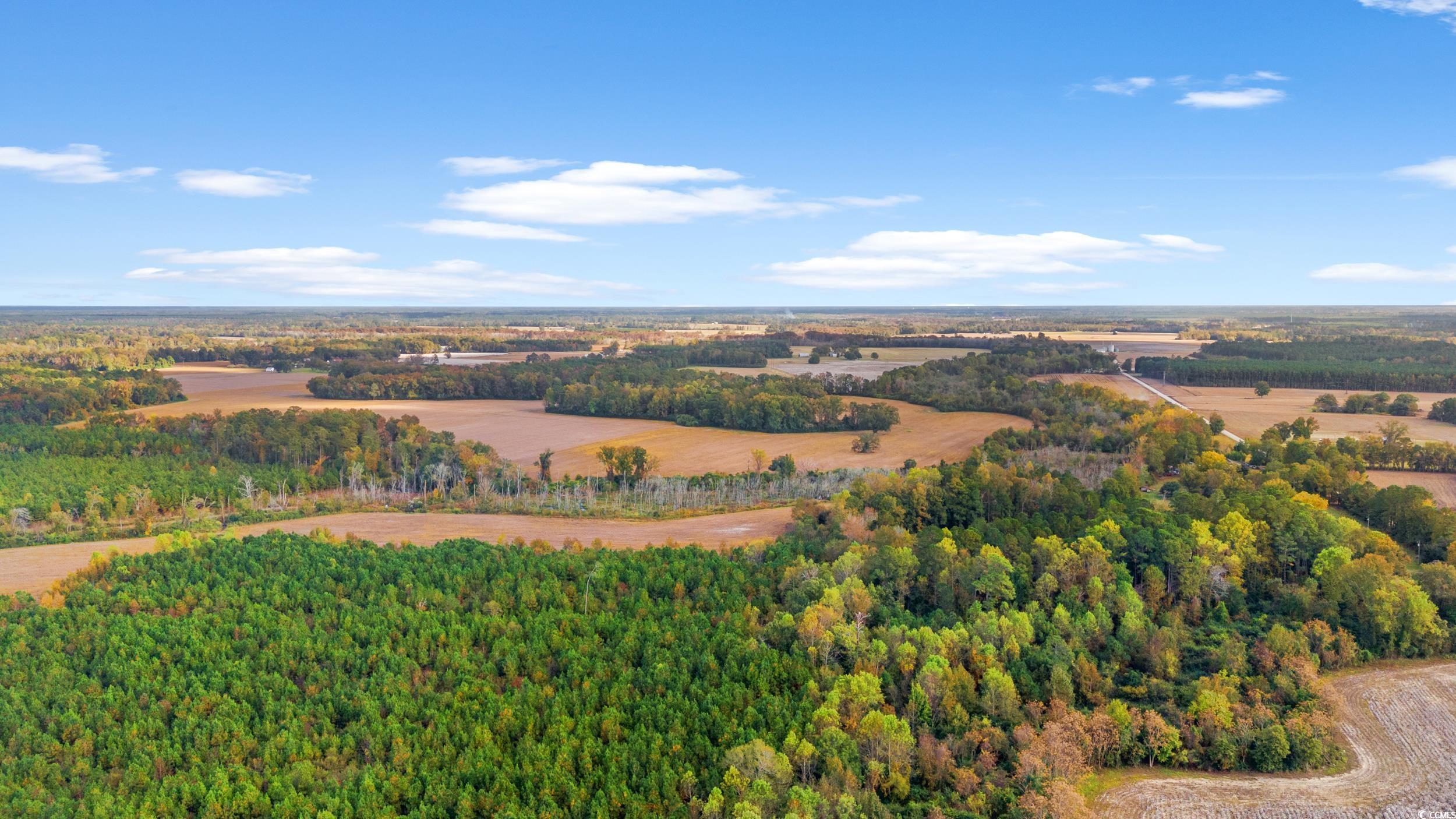 S-17-22 Arnette Road Dillon, SC 29536 - Photo 17 of 19