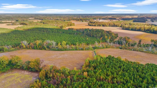 $1,325,000 | S-17-22 Arnette Road, Dillon, SC 29536