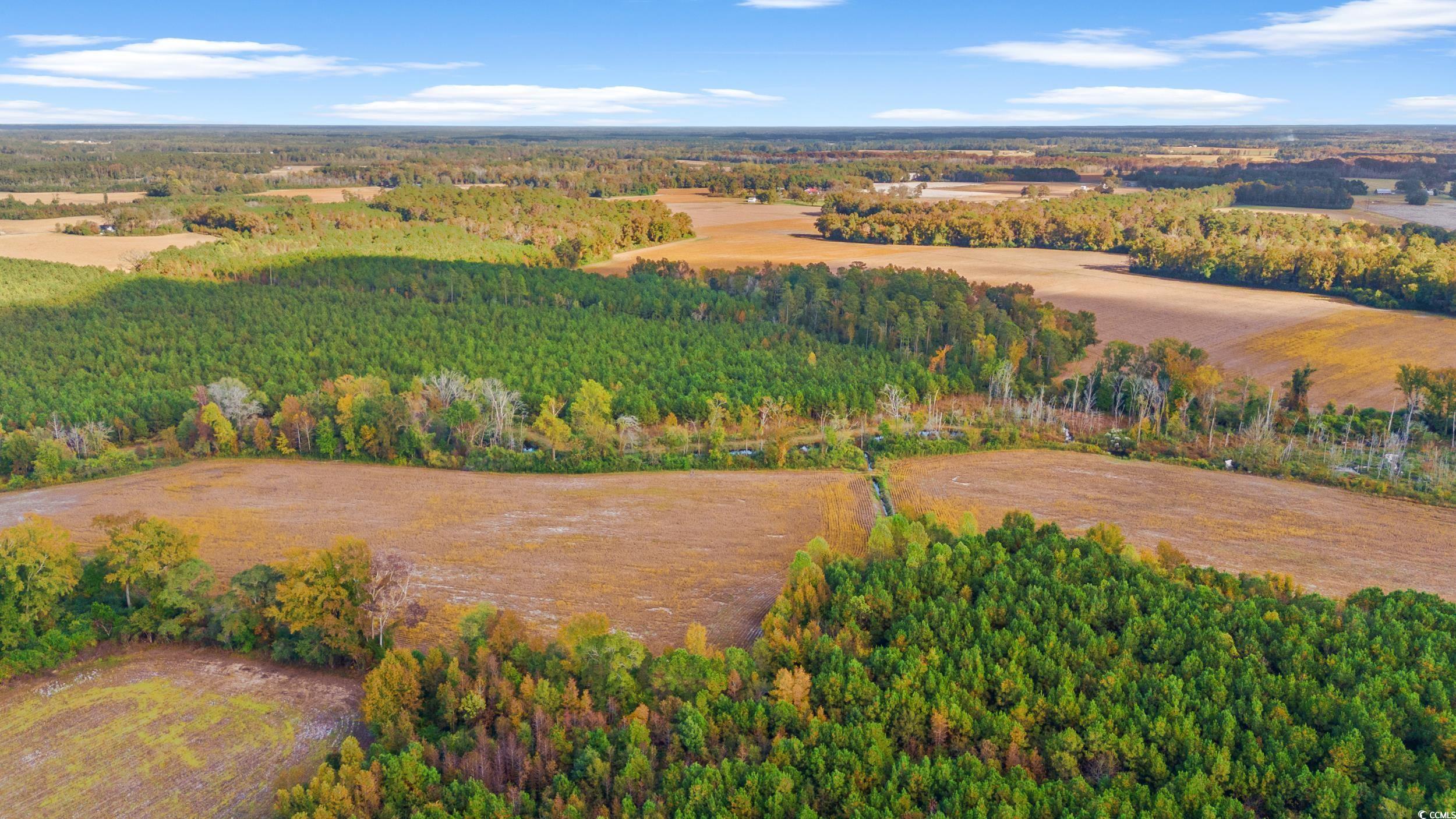 S-17-22 Arnette Road Dillon, SC 29536 - Photo 18 of 19