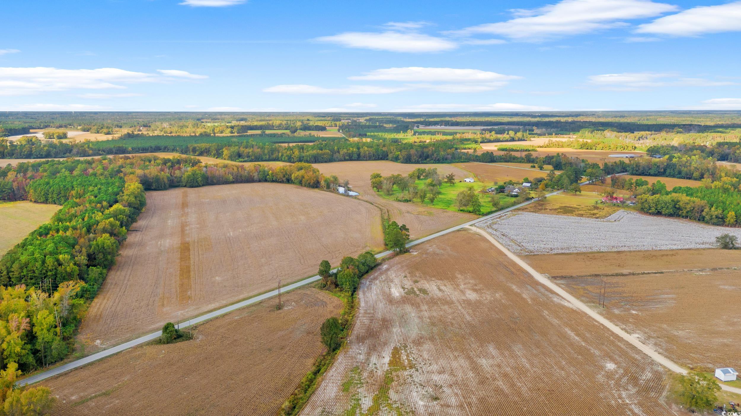 S-17-22 Arnette Road Dillon, SC 29536 - Photo 4 of 19