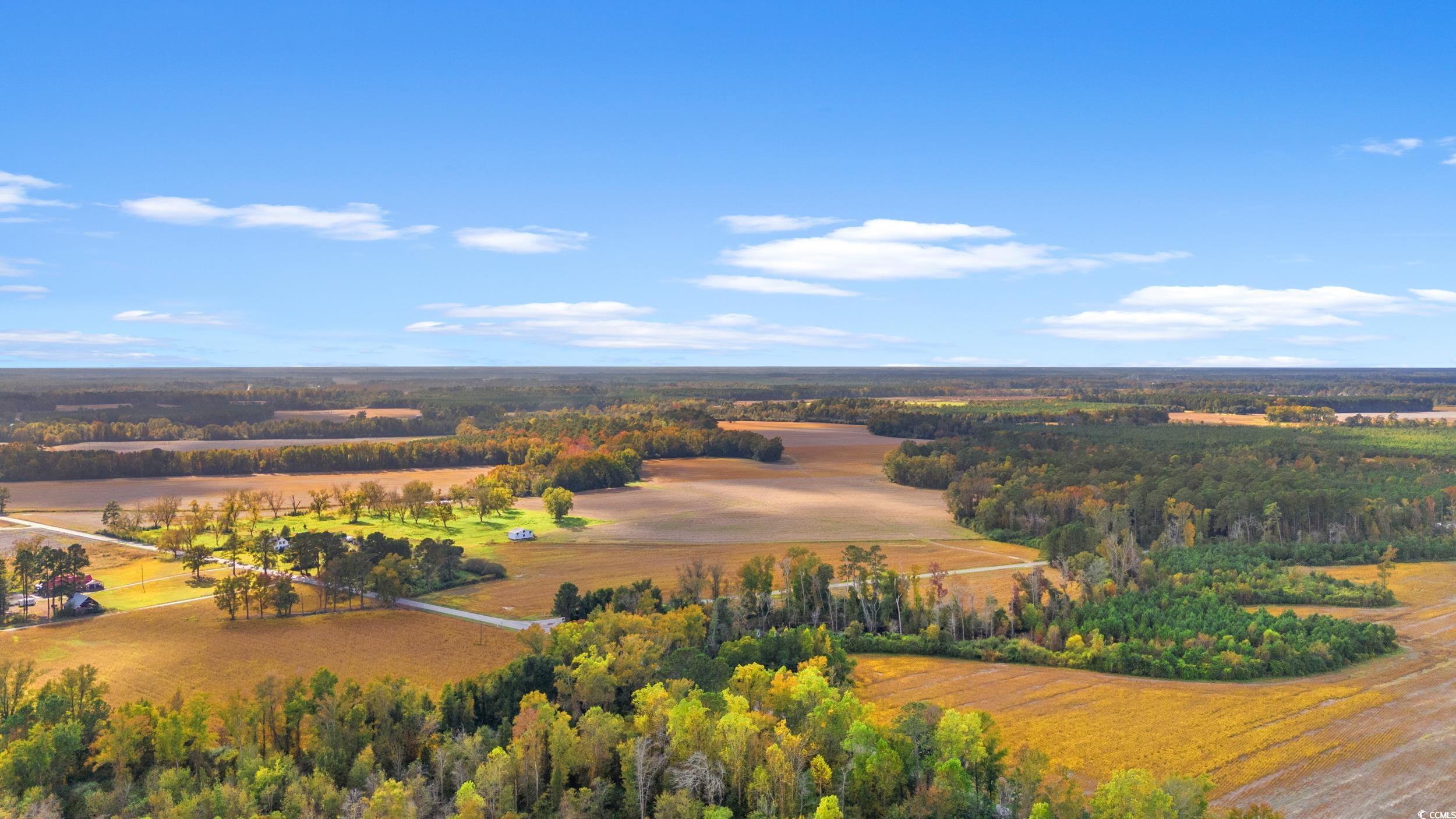 S-17-22 Arnette Road Dillon, SC 29536 - Photo 5 of 19