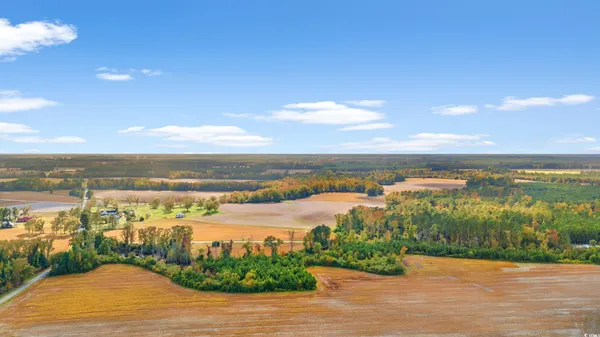 $1,325,000 | S-17-22 Arnette Road, Dillon, SC 29536