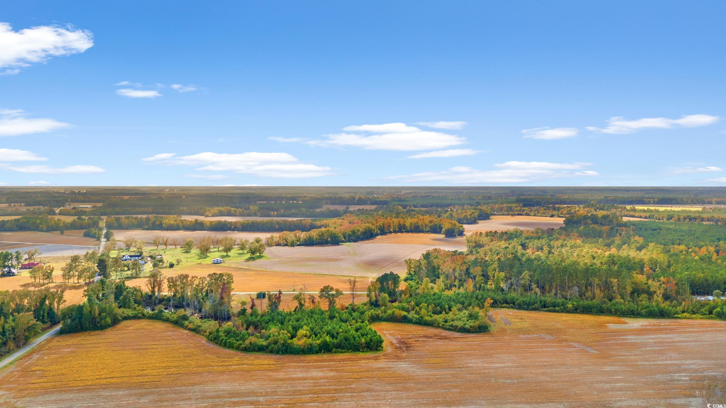S-17-22 Arnette Road Dillon, SC 29536 - Photo 6 of 19