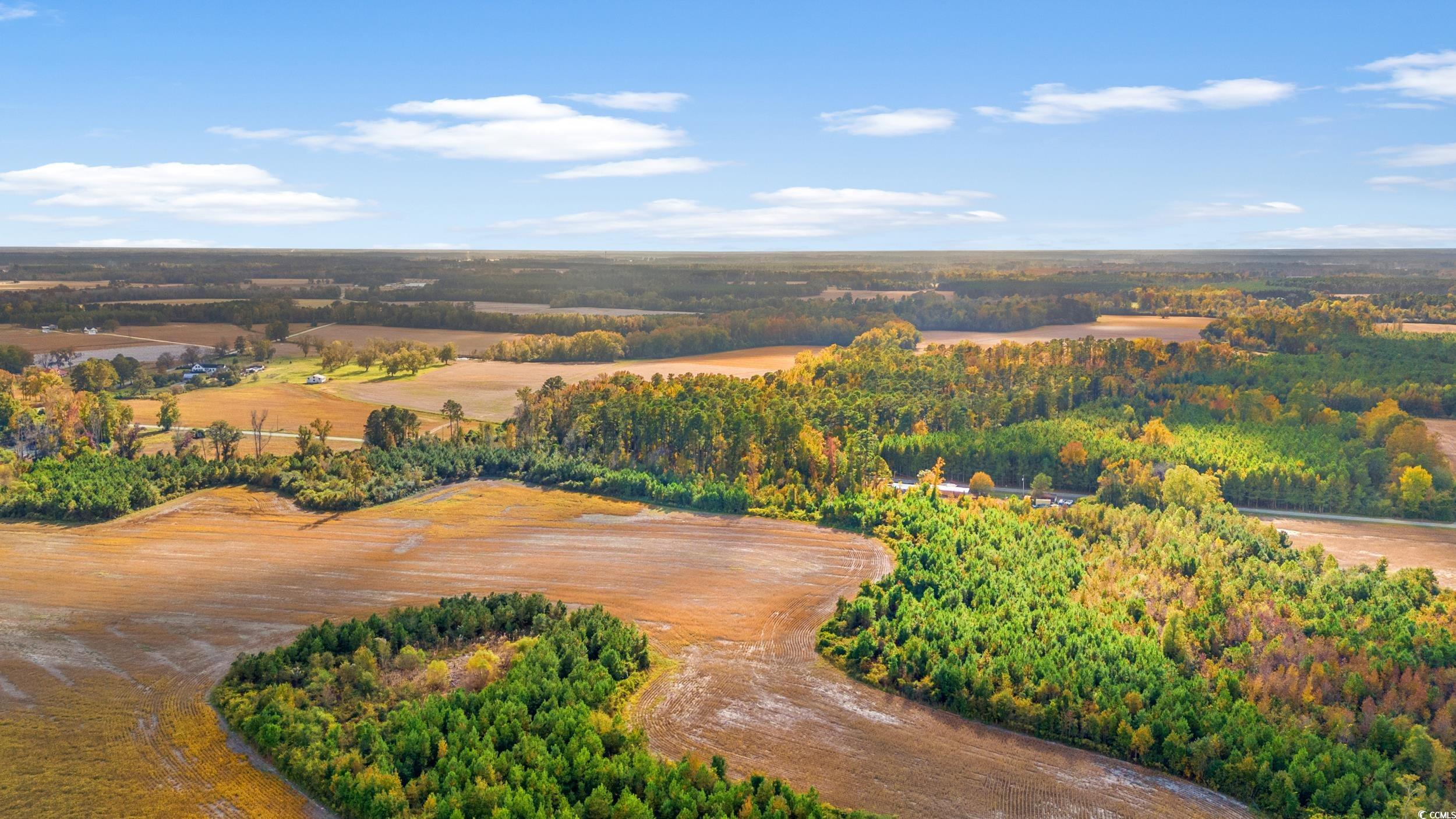 S-17-22 Arnette Road Dillon, SC 29536 - Photo 7 of 19