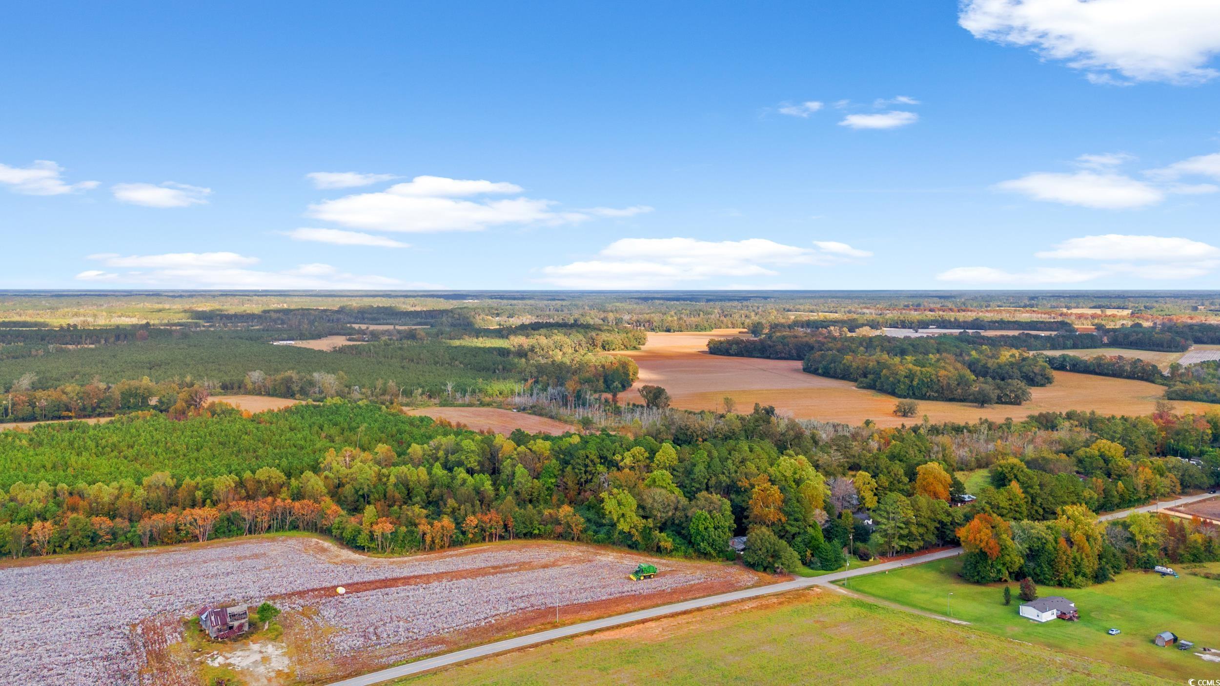 S-17-22 Arnette Road Dillon, SC 29536 - Photo 10 of 19