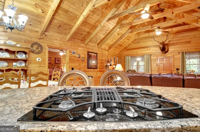 $649,900 | 318 Chalybeate Springs Road, Woodland, GA 31836