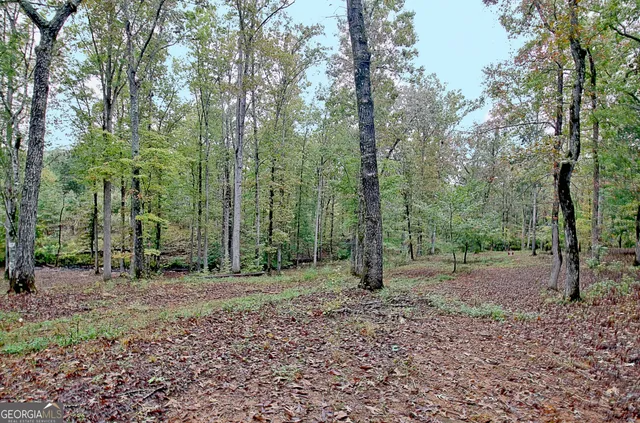 $649,900 | 318 Chalybeate Springs Road, Woodland, GA 31836