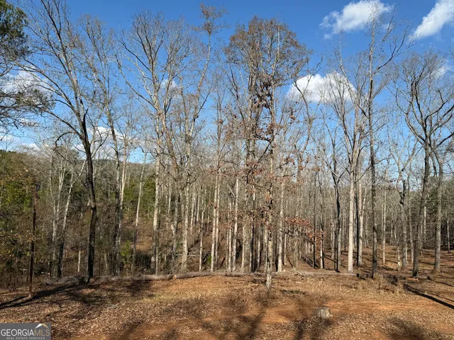 $649,900 | 318 Chalybeate Springs Road, Woodland, GA 31836