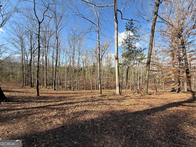 $649,900 | 318 Chalybeate Springs Road, Woodland, GA 31836