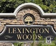 25514 Lynbriar Lane Spring, TX 77373 - Photo 36 of 36