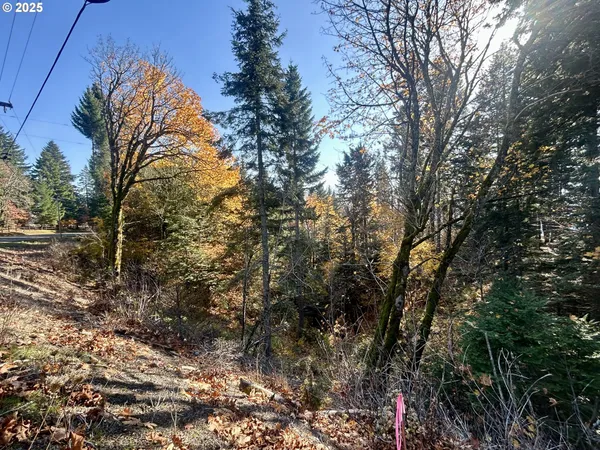 $545,000 | 9562 Cook-Underwood Road, Underwood, WA 98651