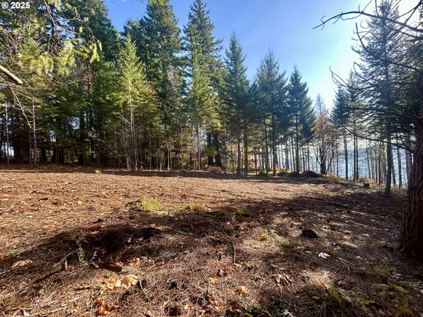 $545,000 | 9562 Cook-Underwood Road, Underwood, WA 98651