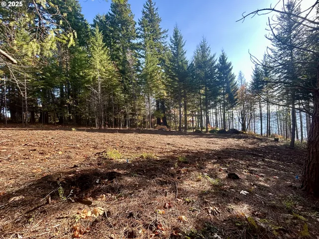 a view of house with trees in the background