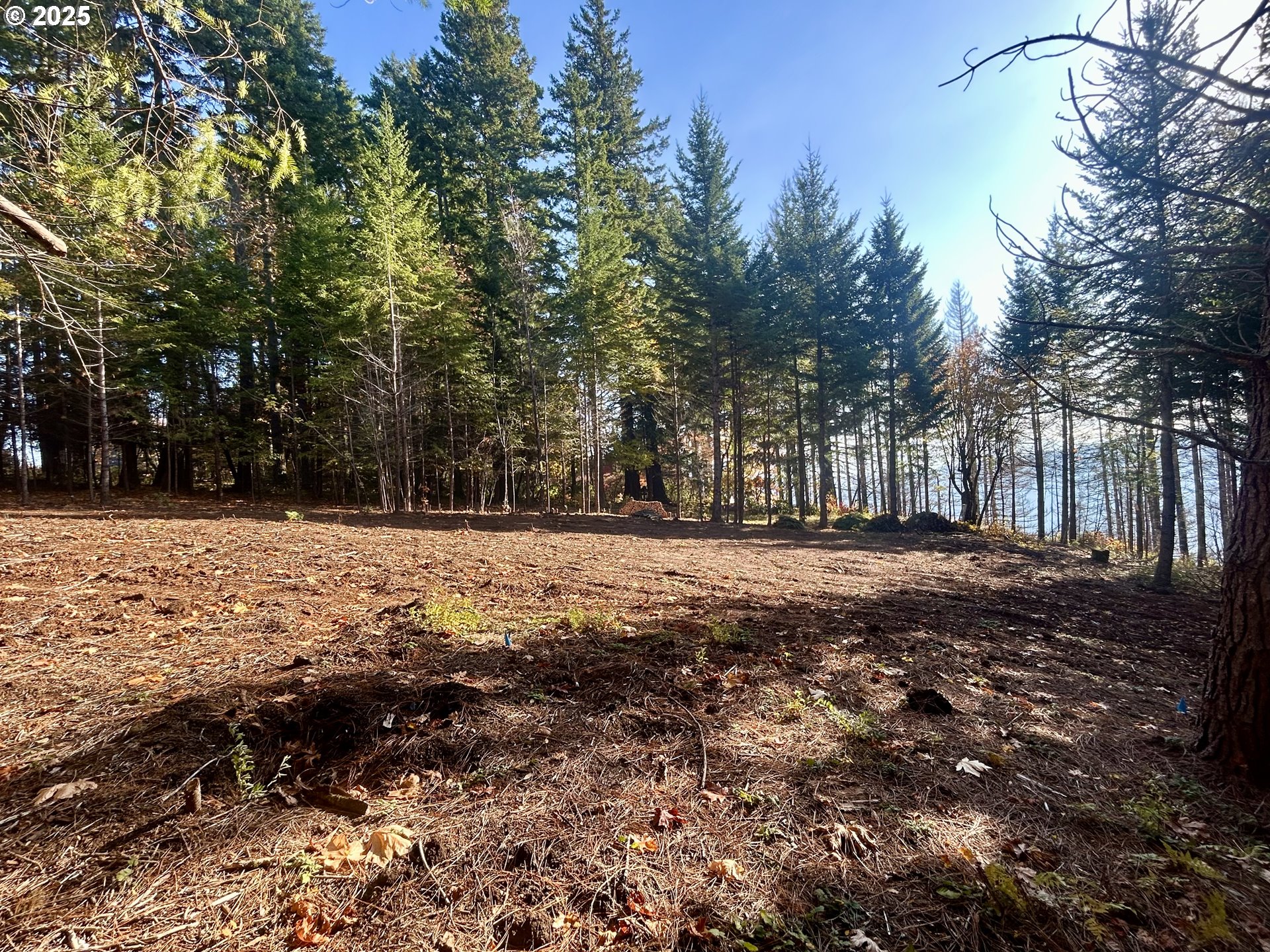 9562 Cook-Underwood Road Underwood, WA 98651 - Photo 3 of 15 a view of house with trees in the background