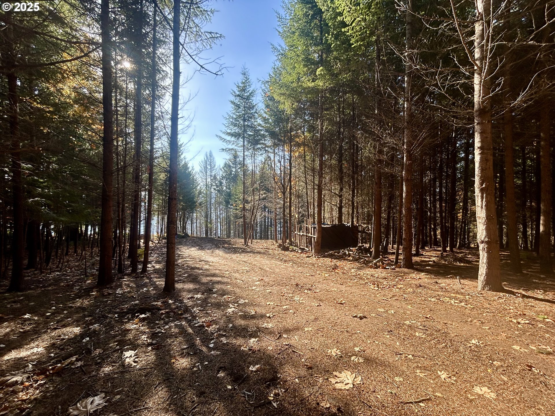 9562 Cook-Underwood Road Underwood, WA 98651 - Photo 5 of 15 a view of outdoor space with trees