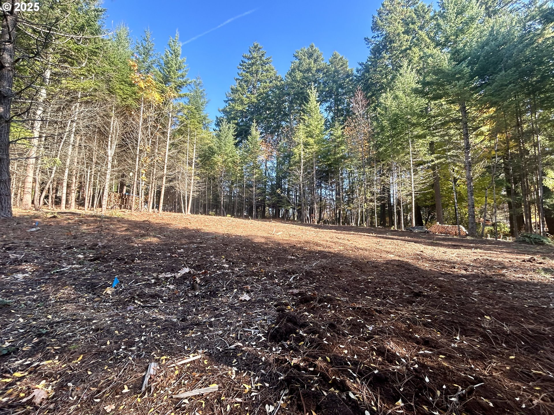 9562 Cook-Underwood Road Underwood, WA 98651 - Photo 8 of 15 a view of large trees with large trees