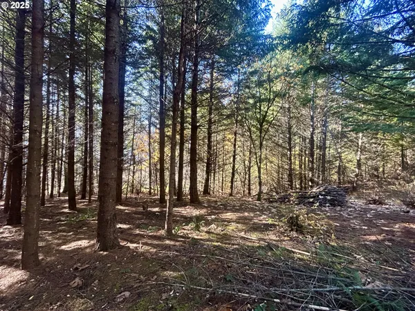 $545,000 | 9562 Cook-Underwood Road, Underwood, WA 98651