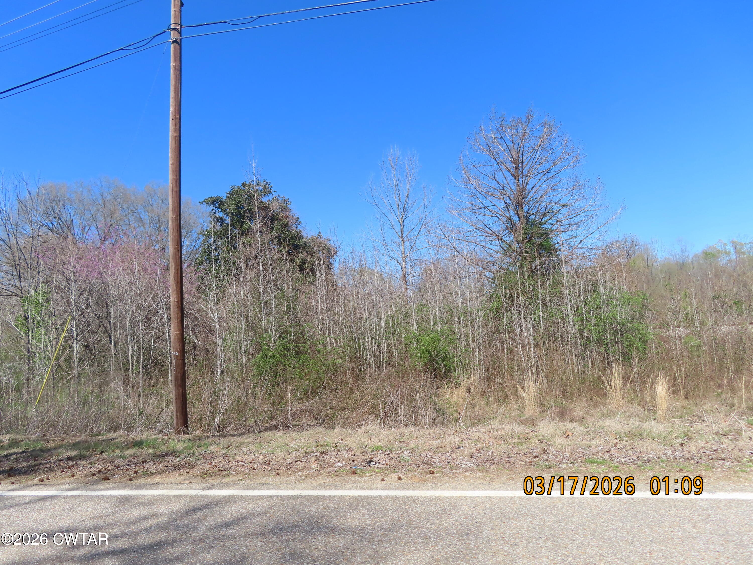 2059 Westover Road Jackson, TN 38301 - Photo 12 of 17 IMG_4799