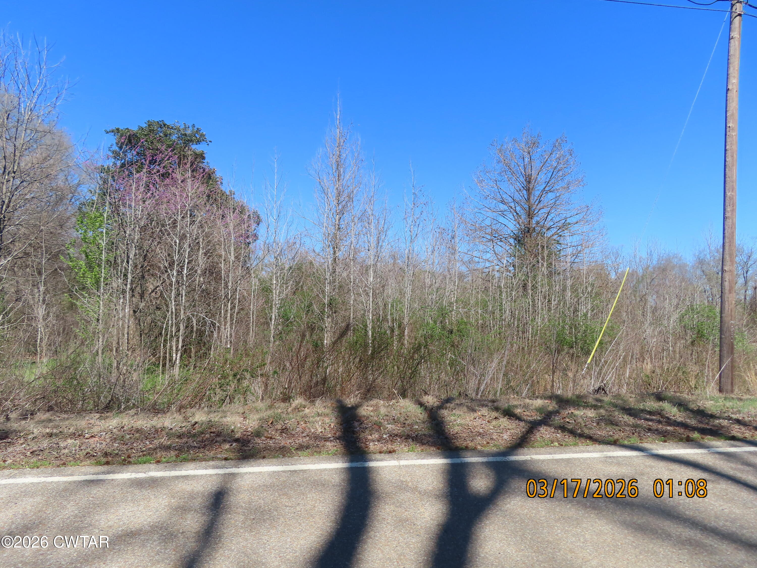 2059 Westover Road Jackson, TN 38301 - Photo 15 of 17 IMG_4796