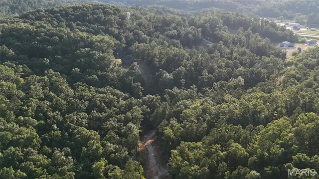 $217,500 | 0 Dollie, Van Buren, MO 63965