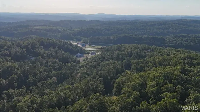 $217,500 | 0 Dollie, Van Buren, MO 63965