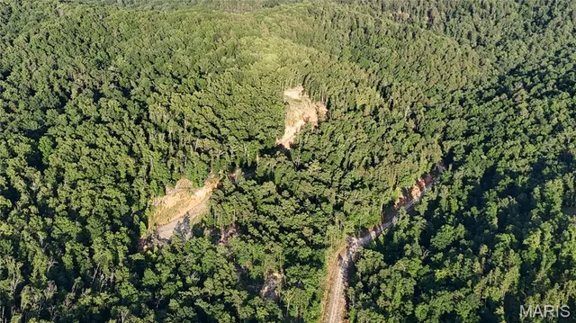 $217,500 | 0 Dollie, Van Buren, MO 63965