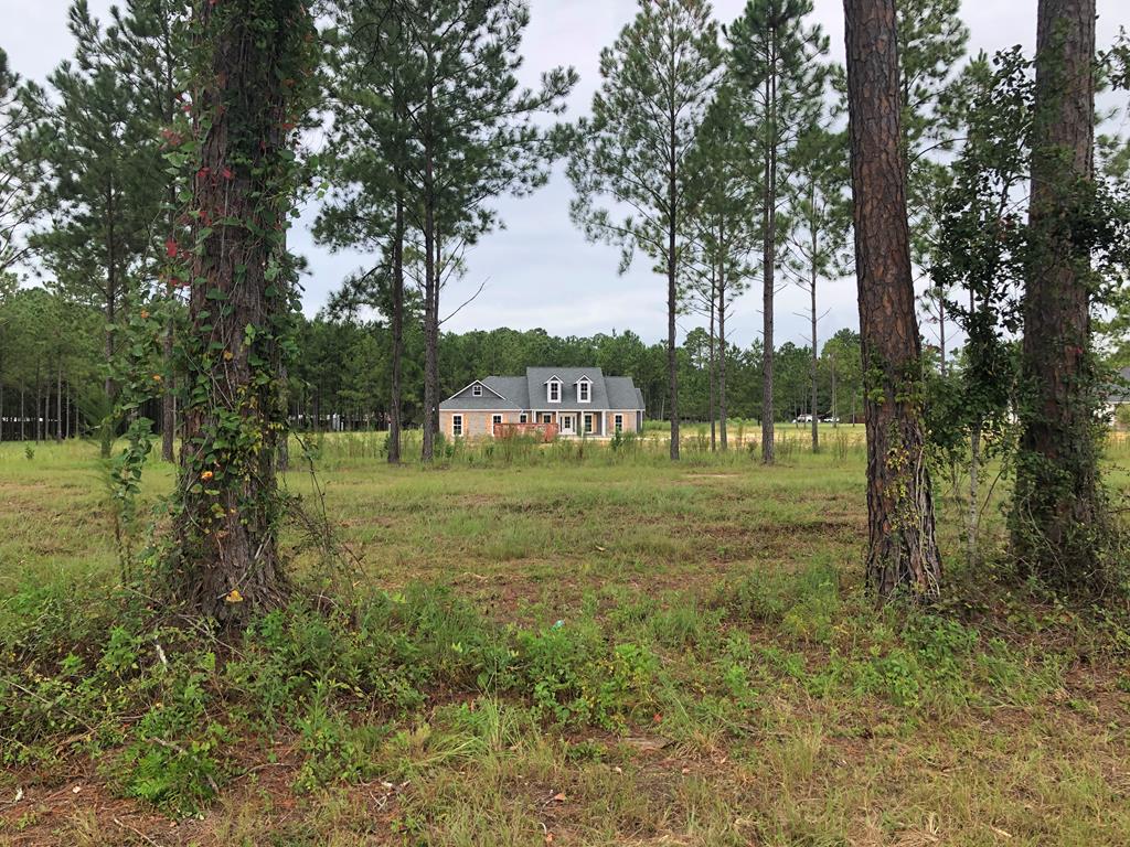 5335 Shiloh Road Hahira, GA 31632 - Photo 34 of 34 Gallery Image 34