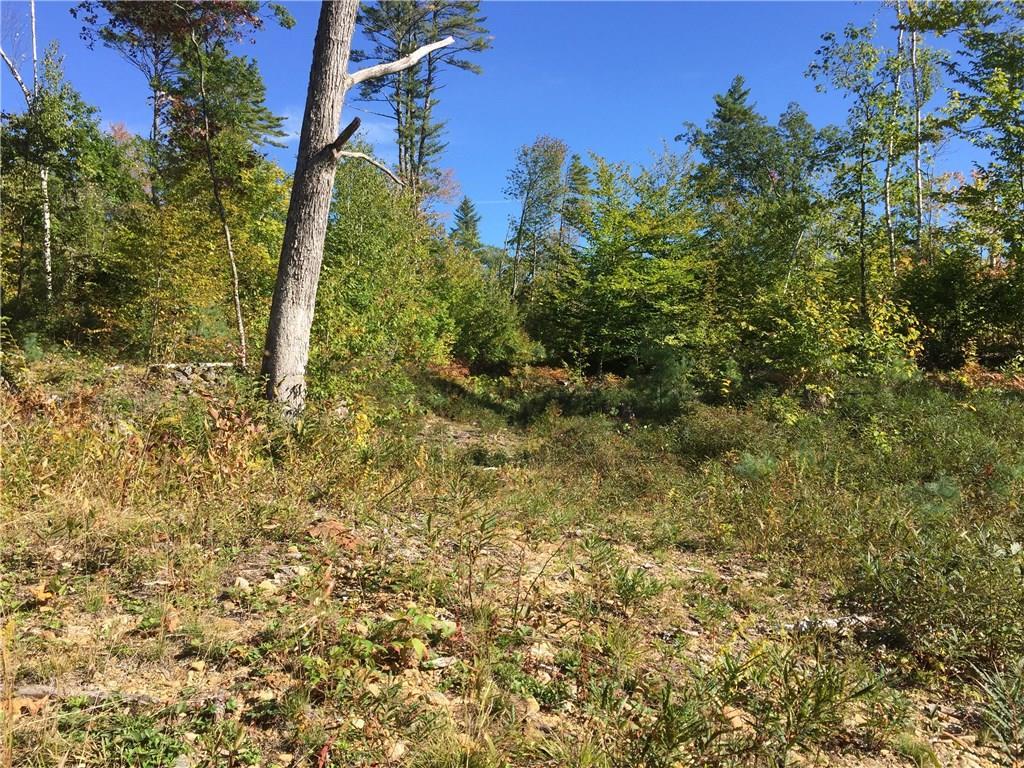 Lot 10 Tripptown Road Hiram, ME 04041 - Photo 5 of 12 Photo
