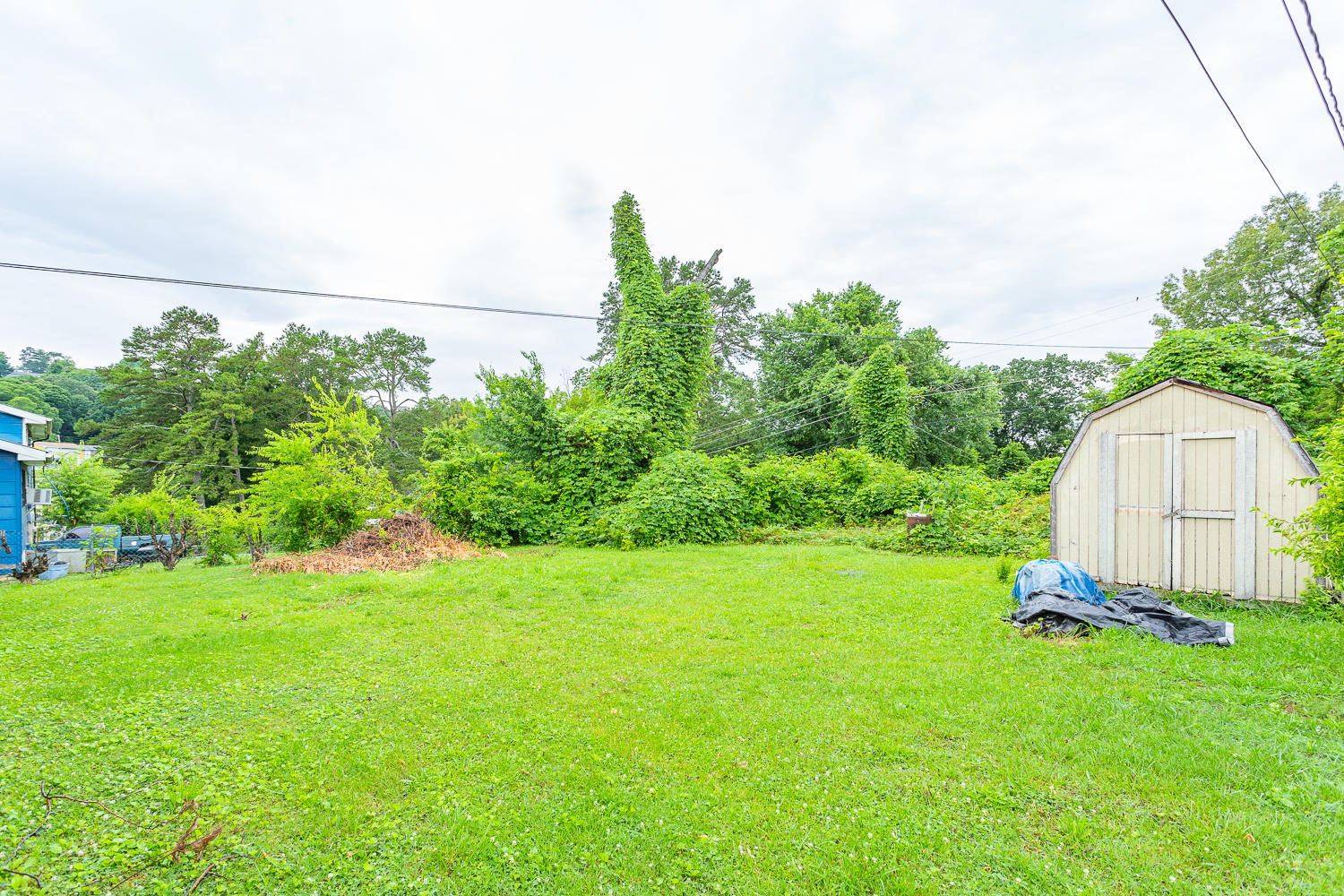 1409 Carousel Road Chattanooga, TN 37411 - Photo 26 of 27 1409 Carousel HD -5