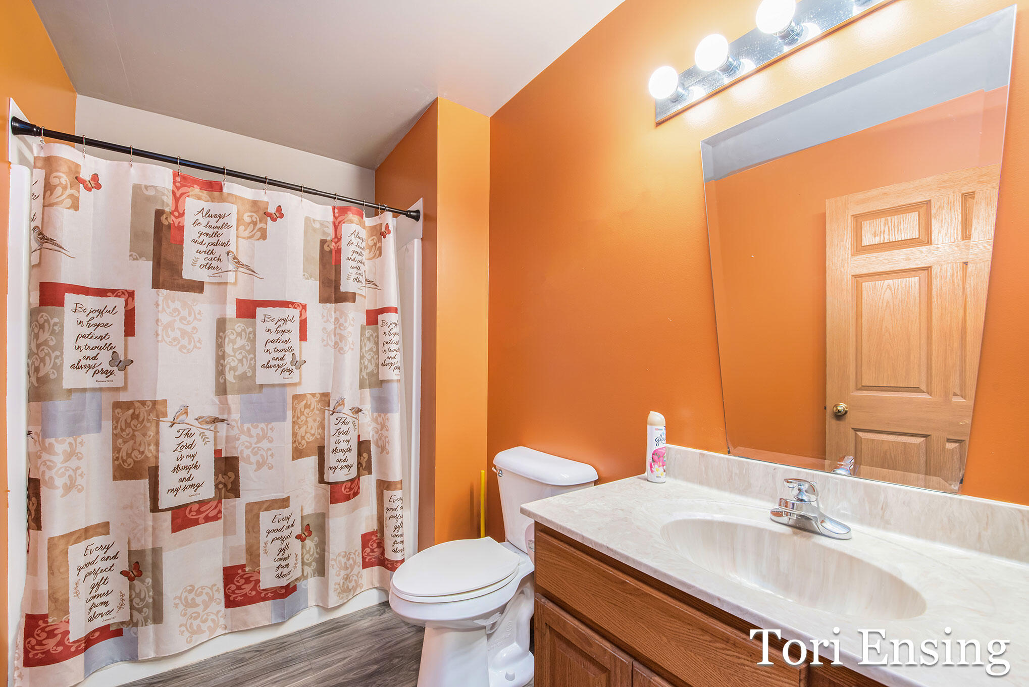 10387 East Fenwick Road Carson City, MI 48811 - Photo 13 of 29 _DSC4839