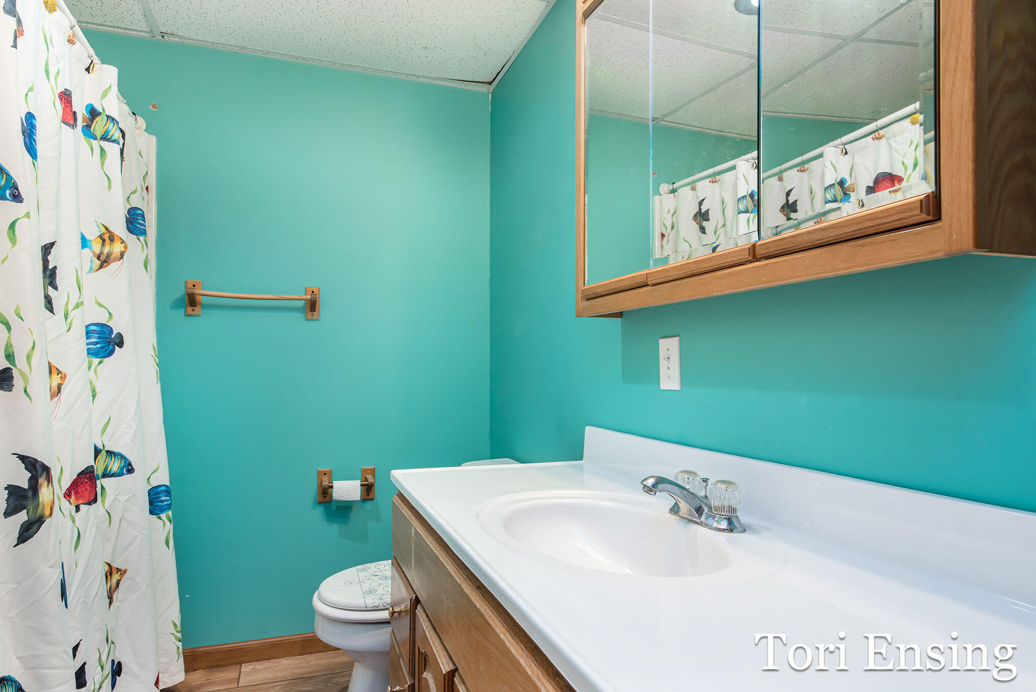 10387 East Fenwick Road Carson City, MI 48811 - Photo 21 of 29 _DSC4862