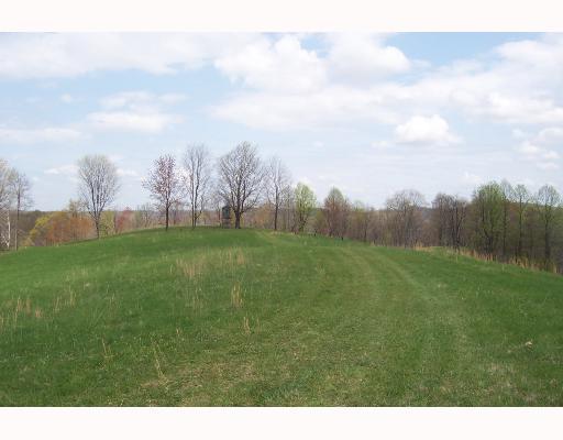 129-162 Garrison Ridge Road New Freeport, PA 15352 - Photo 5 of 8 Land.