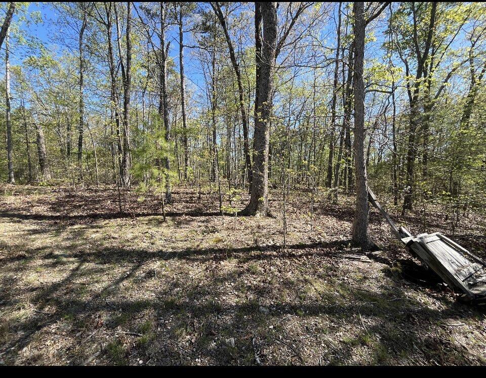 0 LaFayette Road Rocky Face, GA 30740 - Photo 2 of 2 IMG_1297