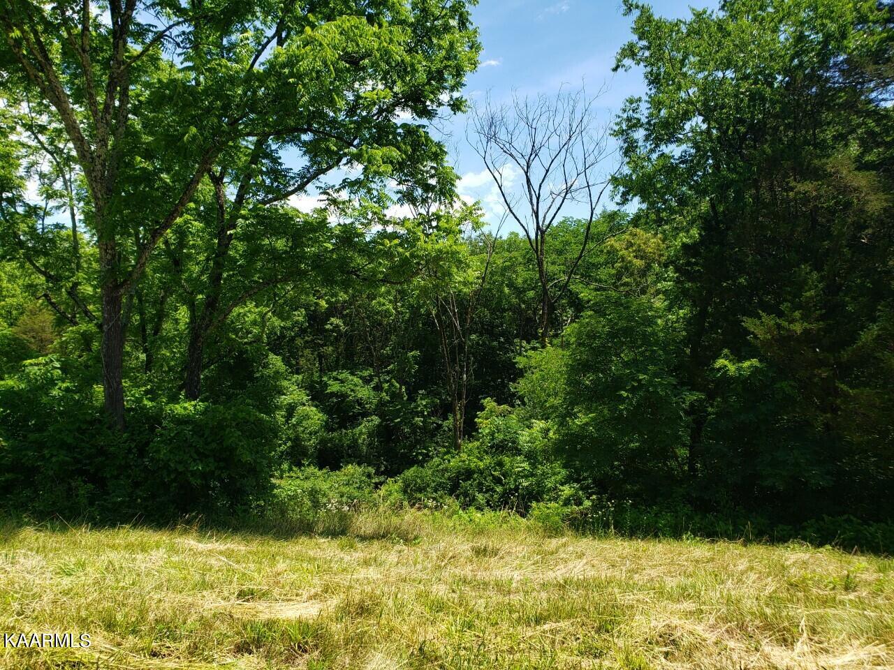 2226 Haag Store Road Talbott, TN 37877 - Photo 3 of 6 pic #4