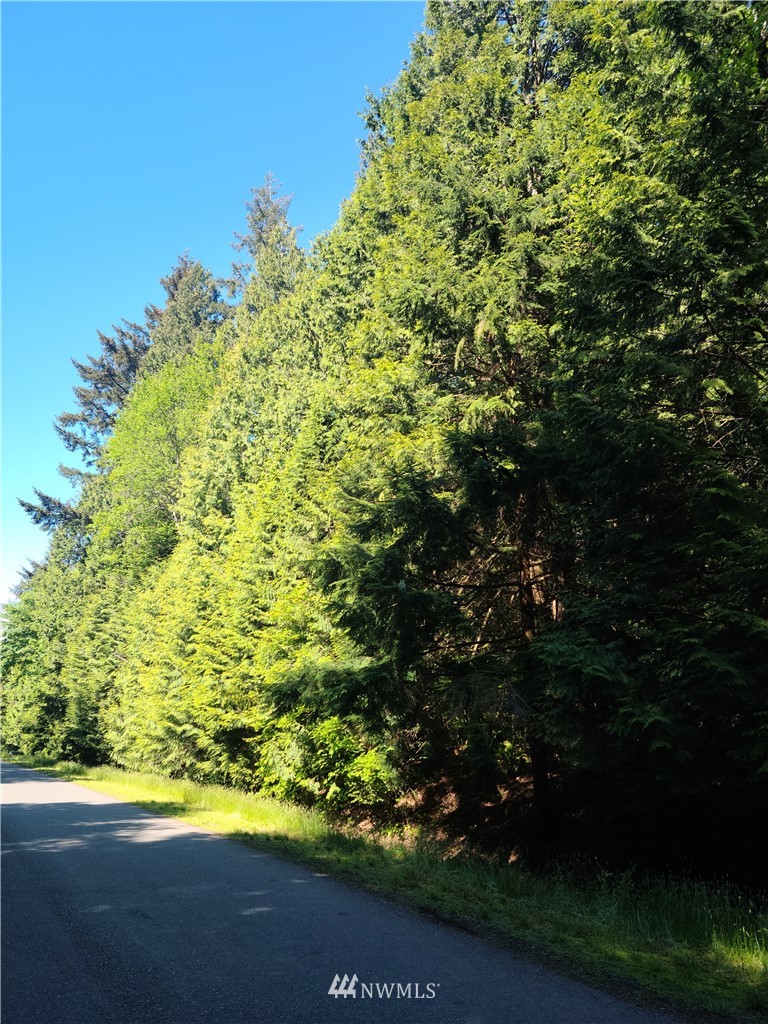 4160 Red Cedar Road Blaine, WA 98230 - Photo 1 of 1