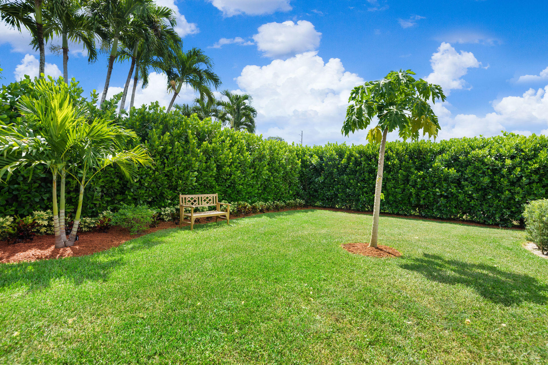 9536 Old Pine Road Boca Raton, FL 33428 - Photo 4 of 45 Big Backyard