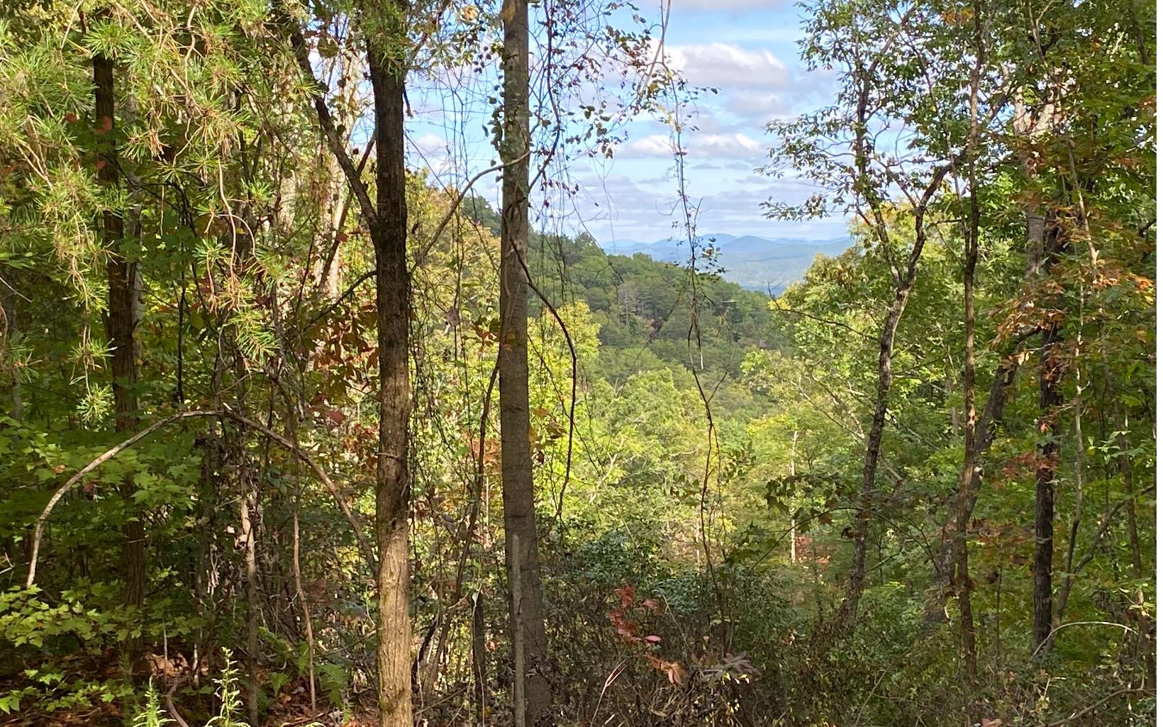 Additional View