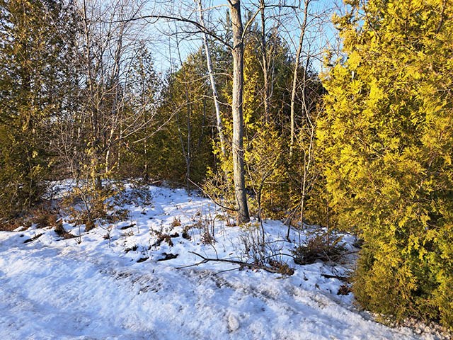 County Road East Baileys Harbor, WI 54202 - Photo 2 of 6