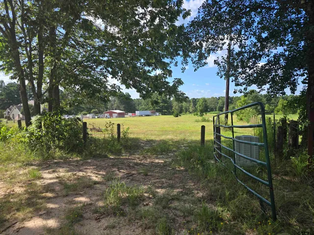 a view of a field with a tree