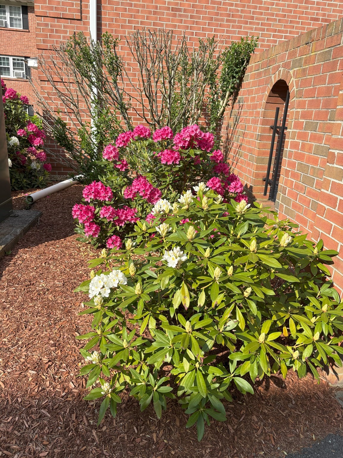 52 Leonard Road, Unit 52 Boxborough, MA 01719 - Photo 24 of 30 Gallery Image 24