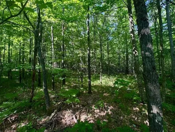 $49,900 | N8823 Dickerson Avenue, Willard, WI 54493