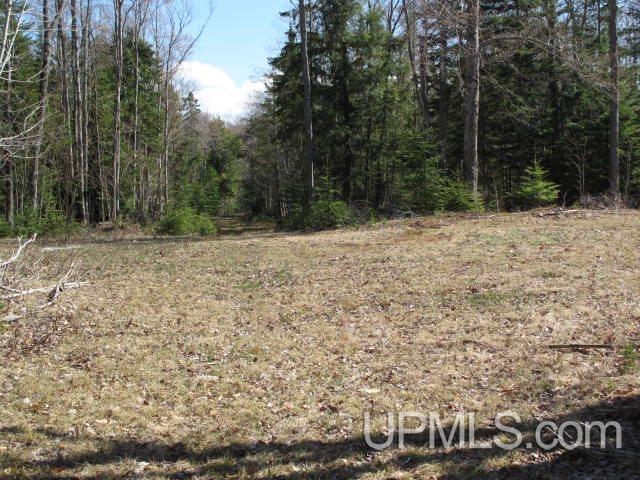 22405 Webb Road Grand Marais, MI 49839 - Photo 24 of 32 Gallery Image 24
