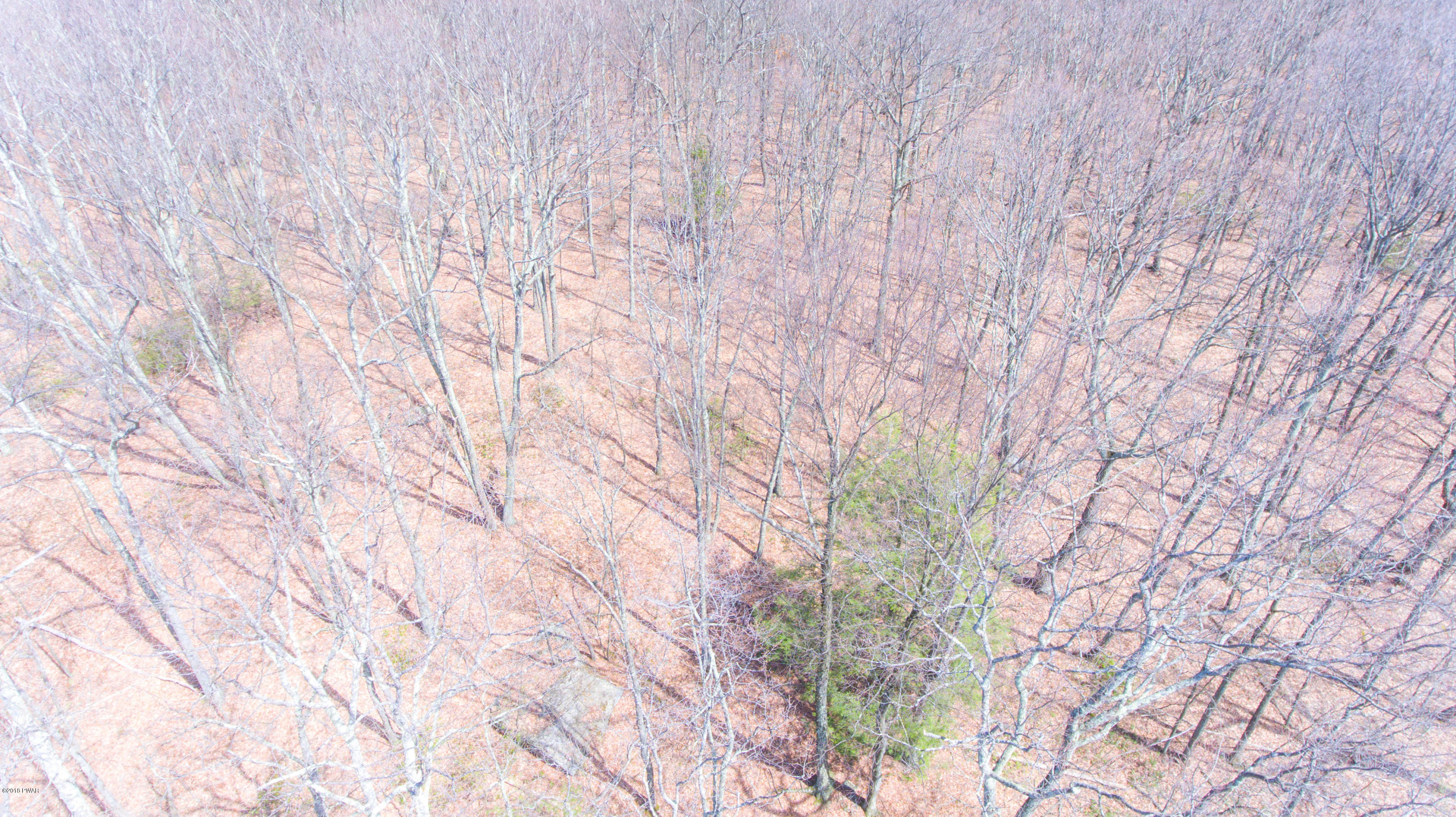 Lot 18 East Beaverdam Road Hawley, PA 18428 - Photo 3 of 6