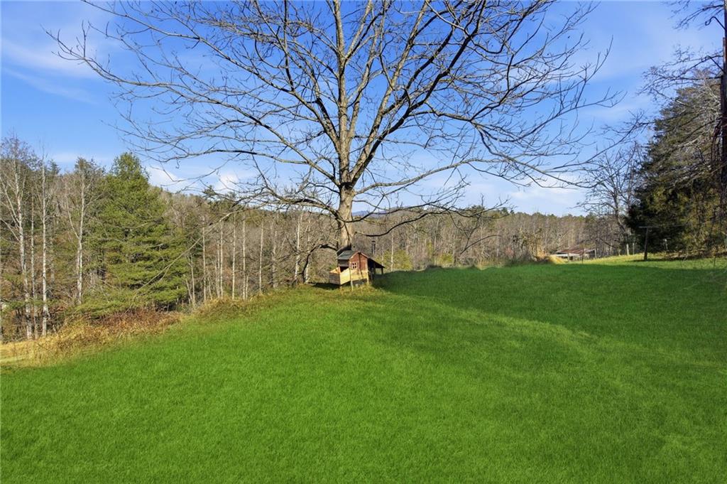 655 Kelley Road Cleveland, GA 30528 - Photo 31 of 41 a view of backyard with green space