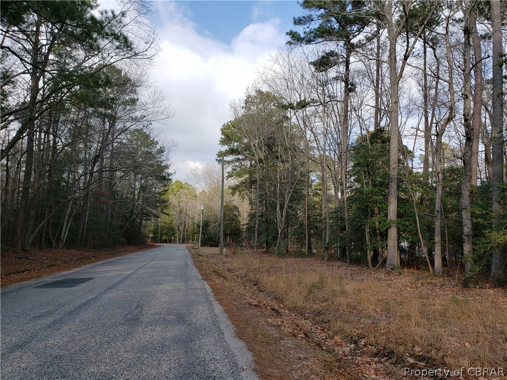 0 Railway Road Port Haywood, VA 23138 - Photo 5 of 6