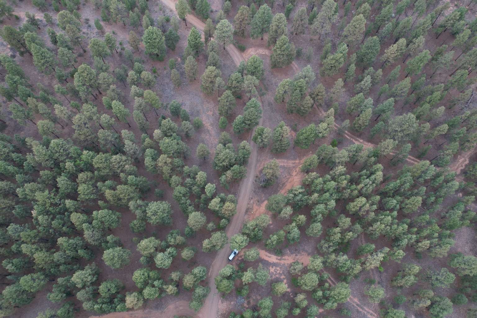0 A015 County Road Mora, NM 87732 - Photo 38 of 40